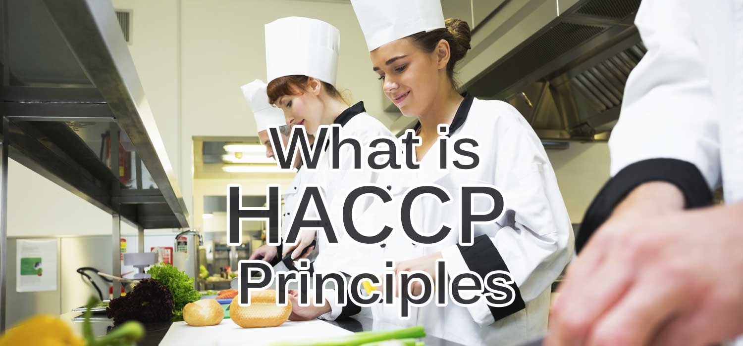 Haccp_principles